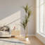 Faux olivier en pot-133254245-133254246-133254279
