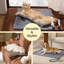 Coussin de lit à température réglable avec minuterie pour chien et chat-138116590-138213667