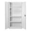 Hickman Metal Storage Cabinet with Lock, 2 Door, 4 Shelf File Storage Cabinet, Office, Garage , Home-35927686