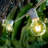 Ambience Pro Globe 312" LED Waterproof Outdoor String Lights