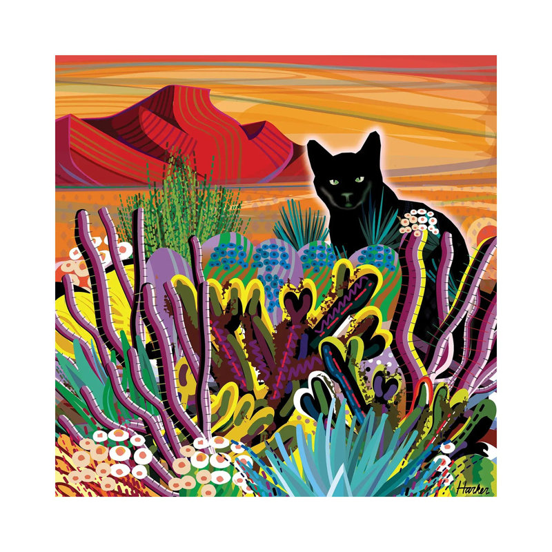 Pinacate Primavera 1 Piece Wrapped Canvas Wall Art, 45.72 cm H x 45.72 cm W