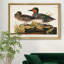 Vert sarcelle ailé - reproduction d'art sur toile-702171525-702171520