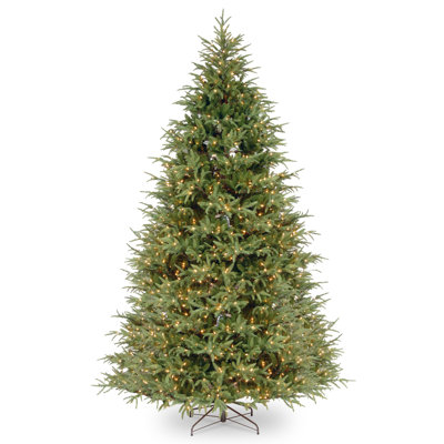 Frasier Grande Tree with Clear Lights