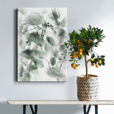 Berry Blush II - Wrapped Canvas Print