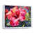 White Floater Framed