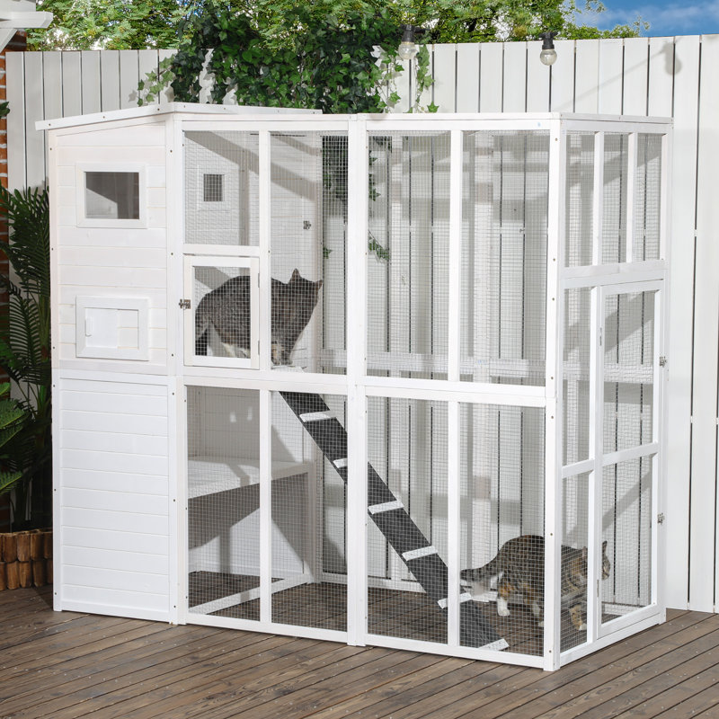 Extérieur, abri pour chat en bois, cage pour chat avec plateformes, toit en asphalte imperméable, rampes, L 77 po, Blanc