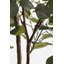 215cm Faux Eucalyptus Tree