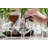 French Bistro Glass Petite Pour Carafe