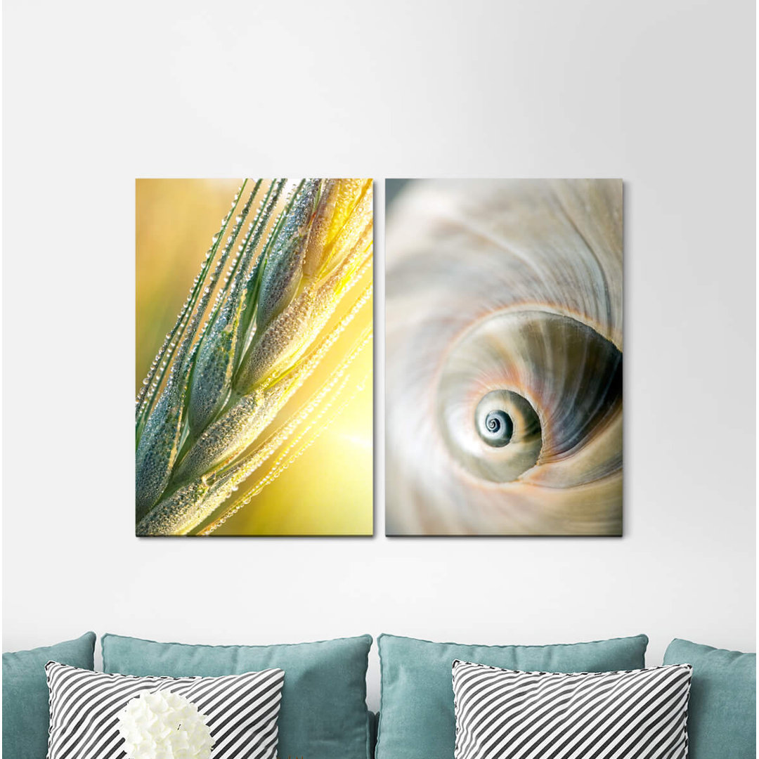 2-tlg. Leinwandbilder-Set - Fotografie „Wheat Gold Snail Shell Spiral Summer”