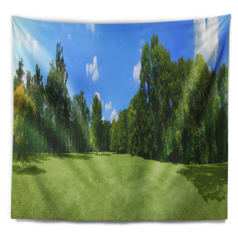 Tapisserie panorama landscape green city park, H 32 po x l 39 po