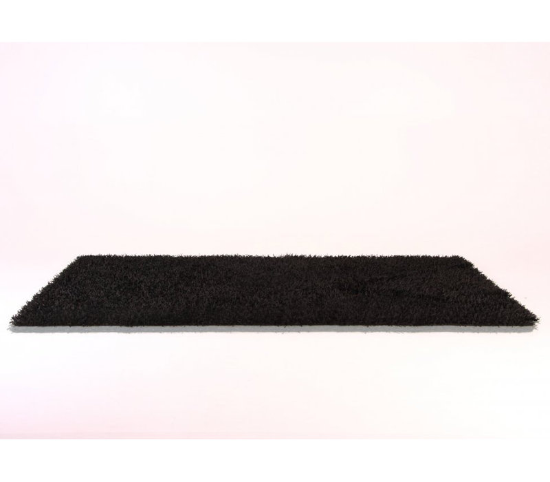 Indoor Rug