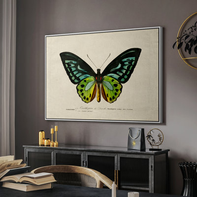 «Vintage Animal Print», toile encadrée galerie encadrée XXXV