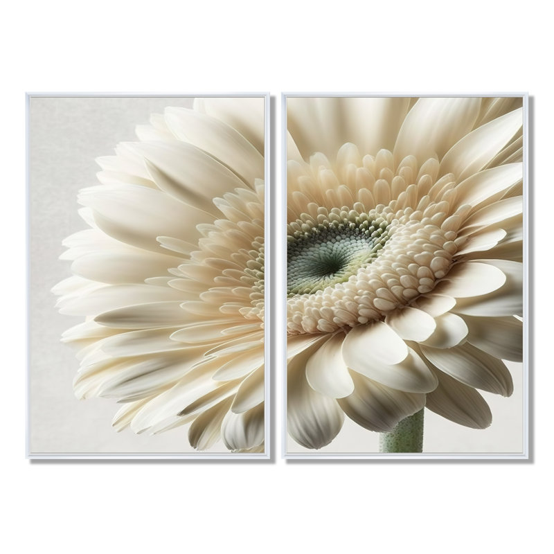 Gerbera blanche III - art mural gerbera floral 2 pièces, 36'' H x 48'' W, Wrapped Canvas, Does Not Apply