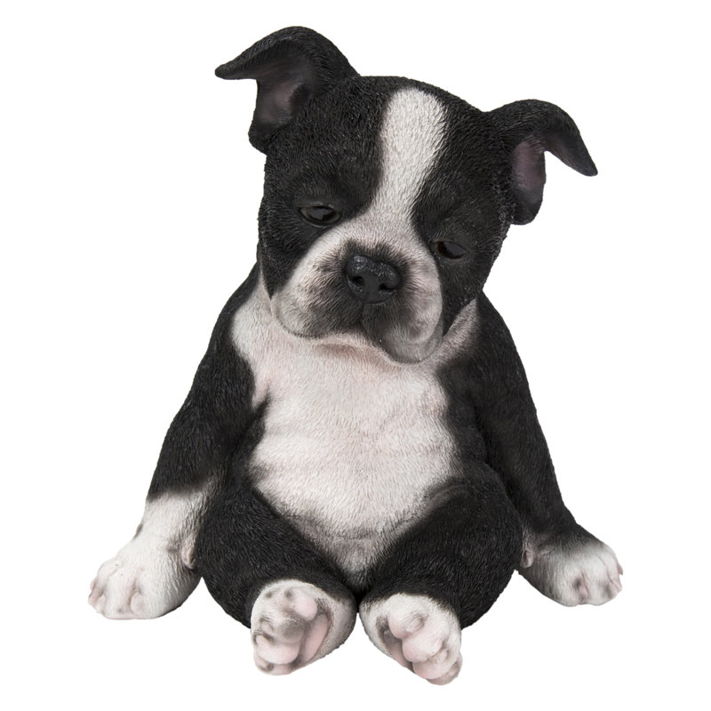 Sleepy Boston Terrier Puppy Statue Sitting