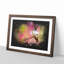 Hummingbird - Single Picture Frame Print on MDF-56866952-56866953