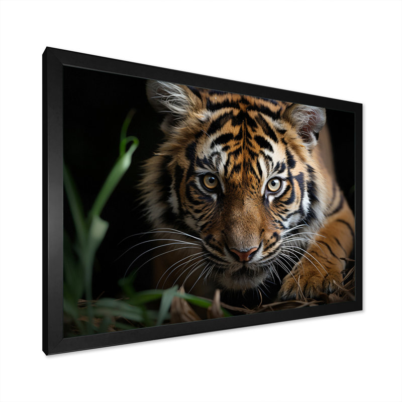 Portrait de tigre brun - art mural tigre, H 30 po x l 40 po x P 1,5 po, Cadre photo noir