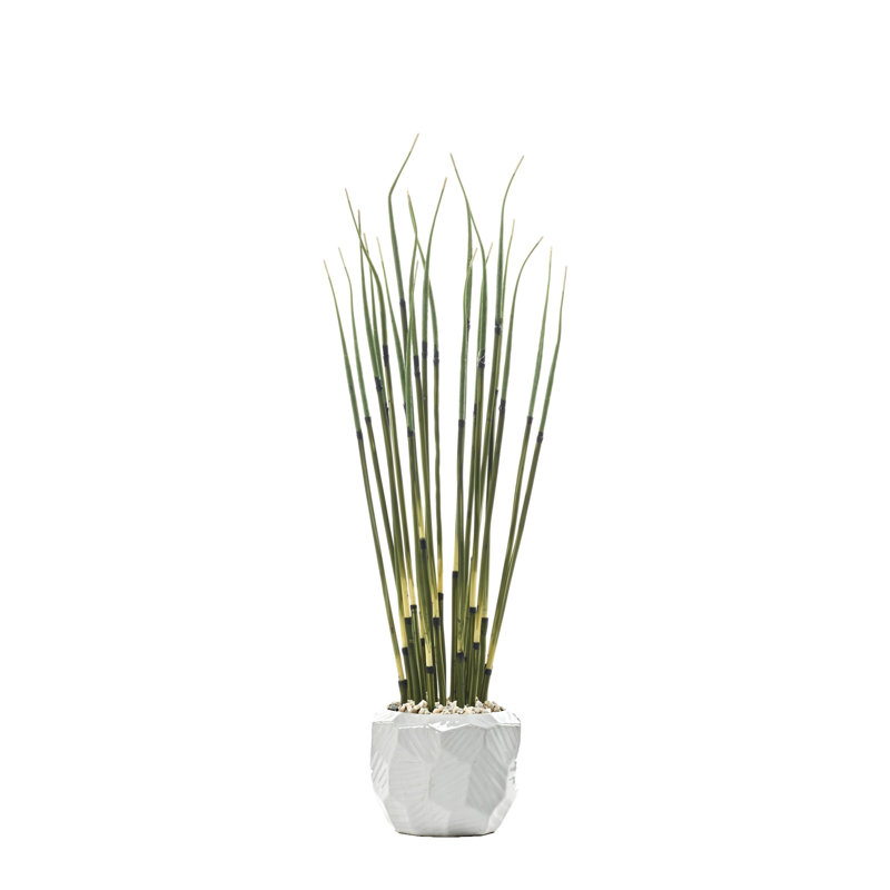 Small Horsetail Reed in Medium White Flintstone Planter