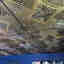 Photos des clients 1 de 1