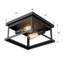 Luminaire encastré 2 lumières noir 11 pouces