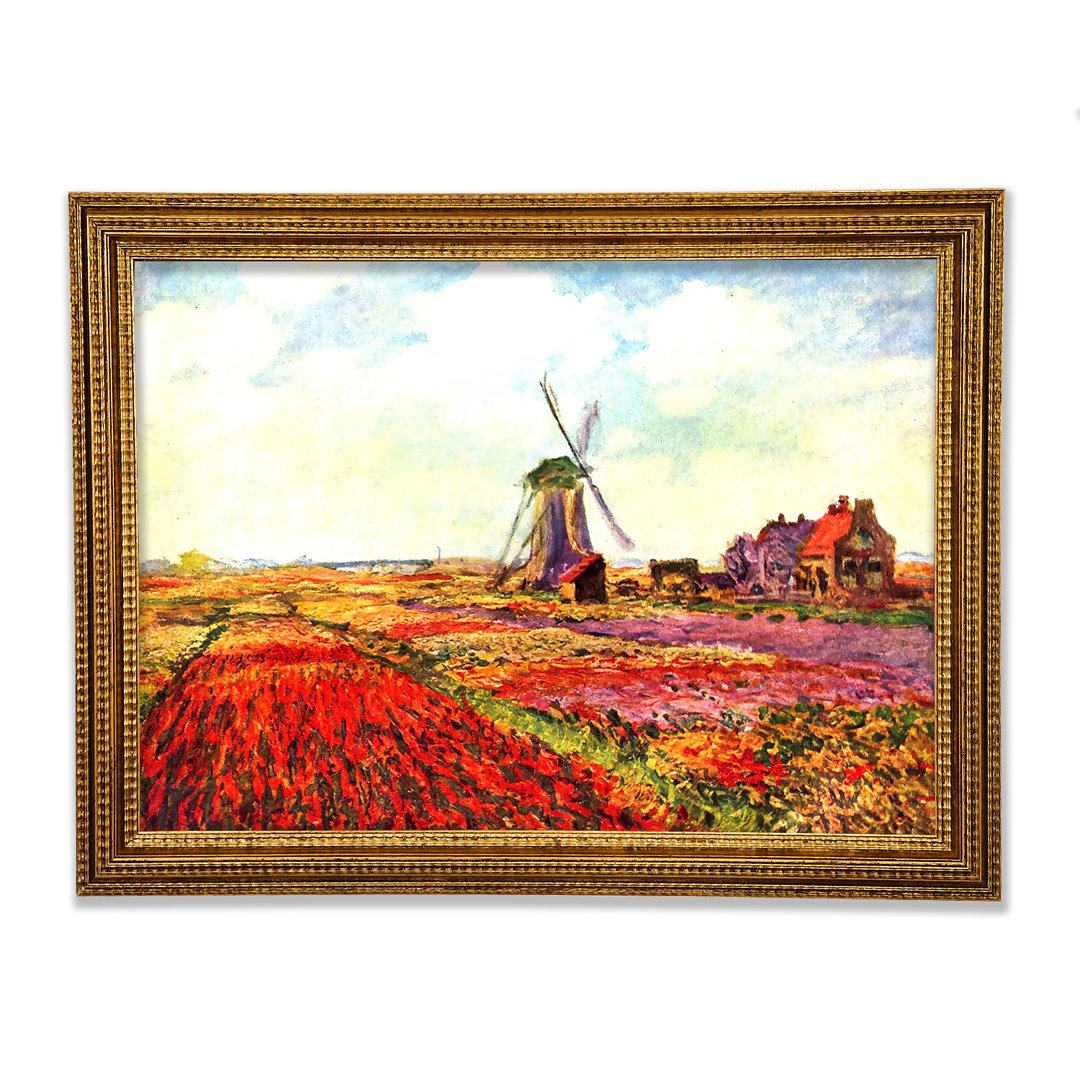 Gerahmtes Leinwandbild Tulips Of Holland von Claude Monet