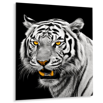 " Fierce White Tiger VI " Print
