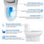 Toilette allongée une pièce à hauteur standard 15,75 po (chasse incluse) (siège inclus)-125361173-125361178