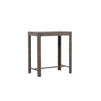 Lacondra Rectangular 60Cm L Outdoor Coffee Table
