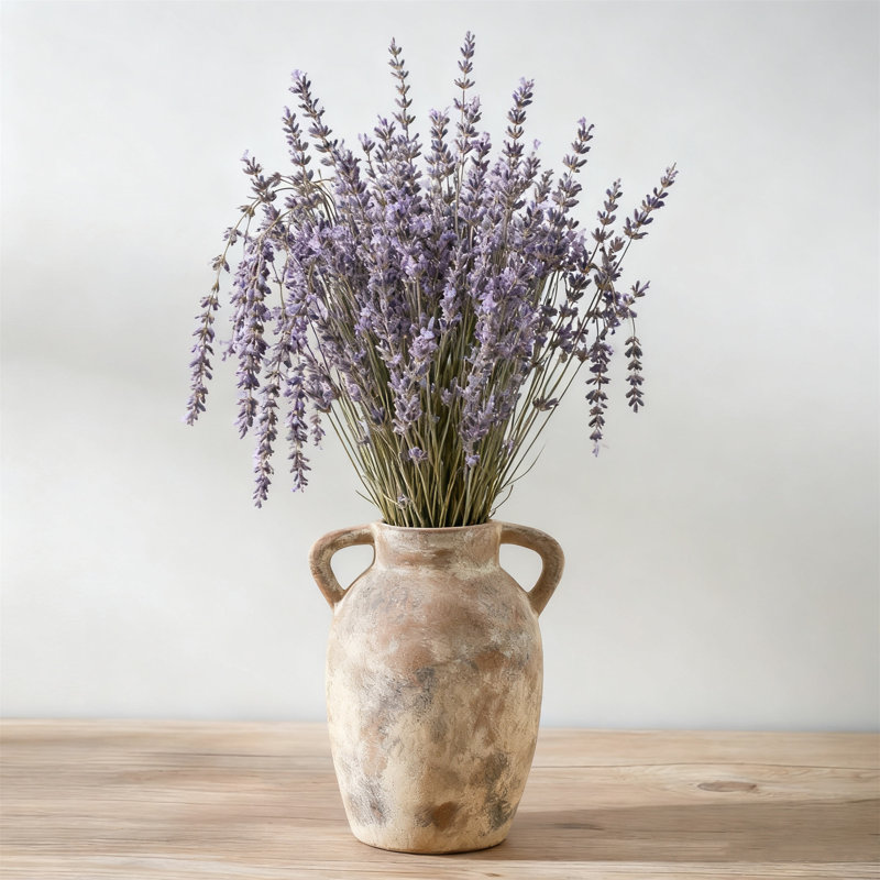 Vase en céramique de 9,6 pouces en terre cuite avec poignées, vase rustique de style campagnard pour décoration intérieure