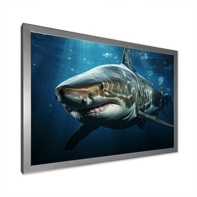" Oceans Blue Ghost Shark Photography "