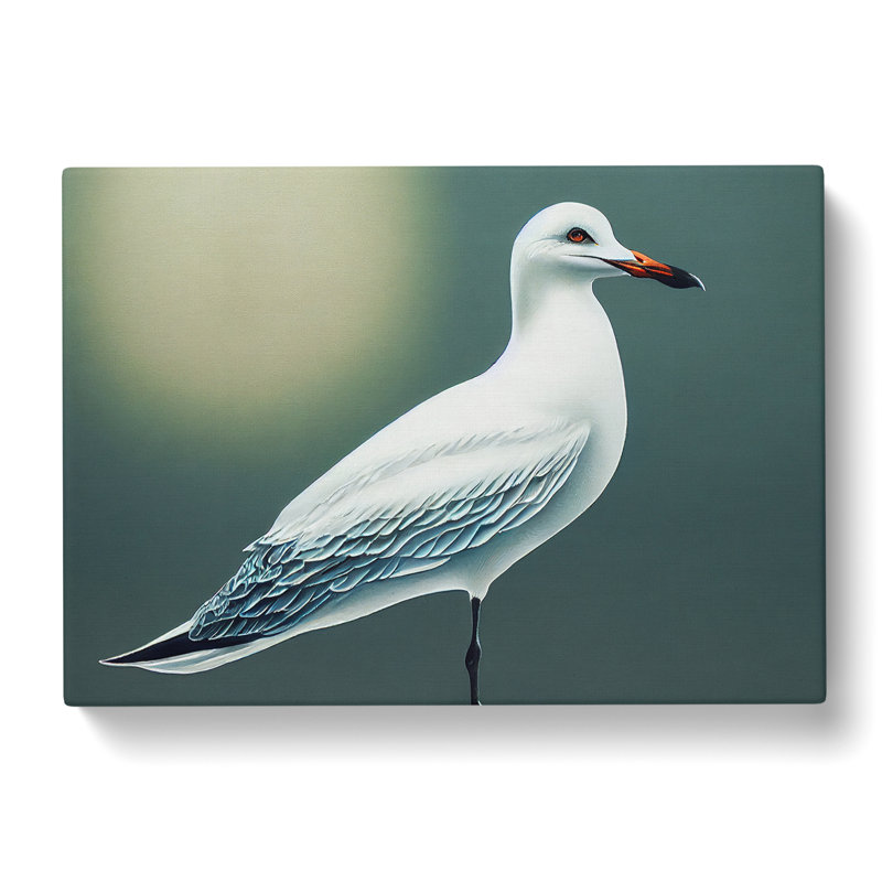 Seagull Portrait Vol.3 - Wrapped Canvas, 35cm H x 50cm W x 3cm D