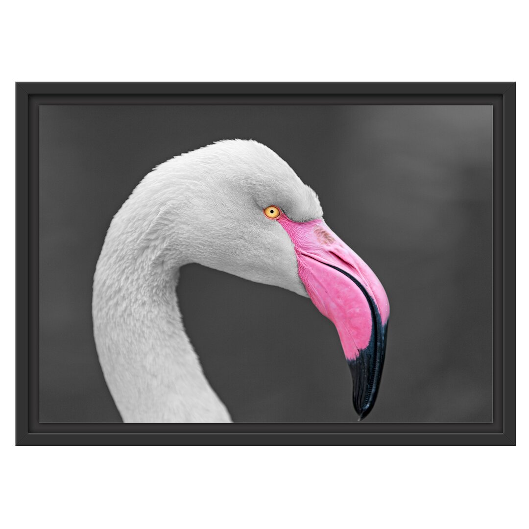 Gerahmtes Wandbild FlamingoSeitenprofil