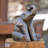 Animals Figurines & Sculptures