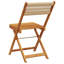 Aubagne Solid Wood Bistro Chairs Acacia and Polypropylene-1558064766
