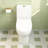 Ally Standard Bathroom Toielt, Modern Toilet with Comfort Chair Height Floor Mounted(Seat Included)-92475486-94078769