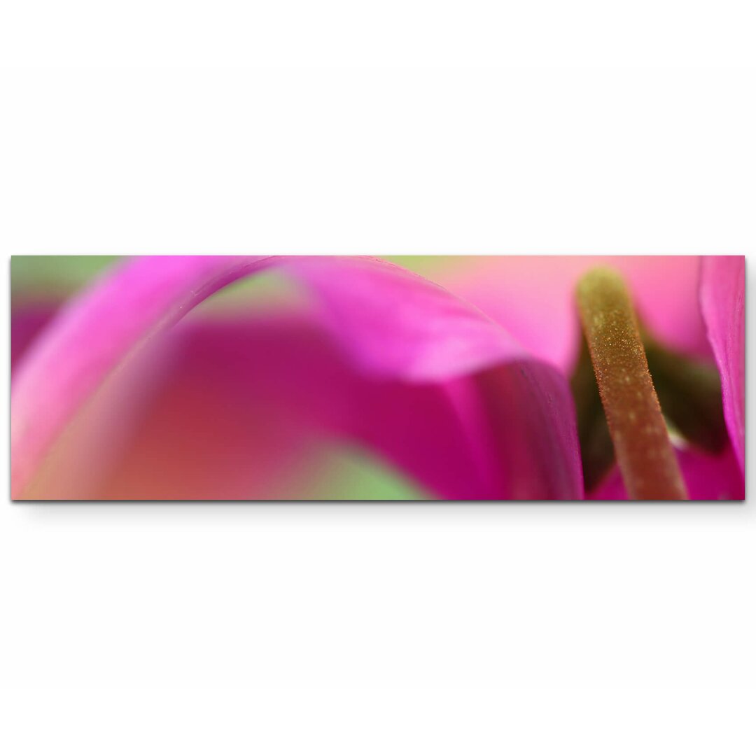 Leinwandbild - "Makrofotografie - Blumen" - Kunstdruck