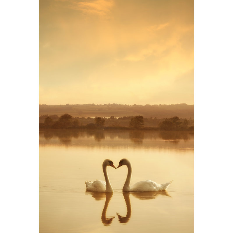 Swans In Love by Mammuth - Print, 30cm H x 20cm W