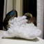 Tabulaire en cristal d'apophyllite
