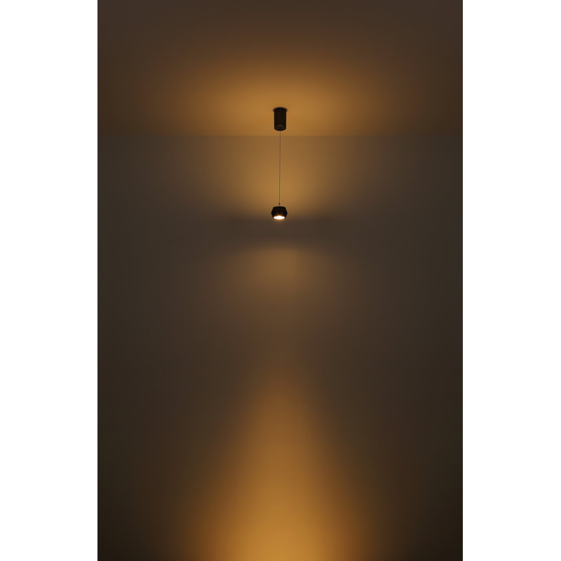 1 - Light Natural LED Pendant
