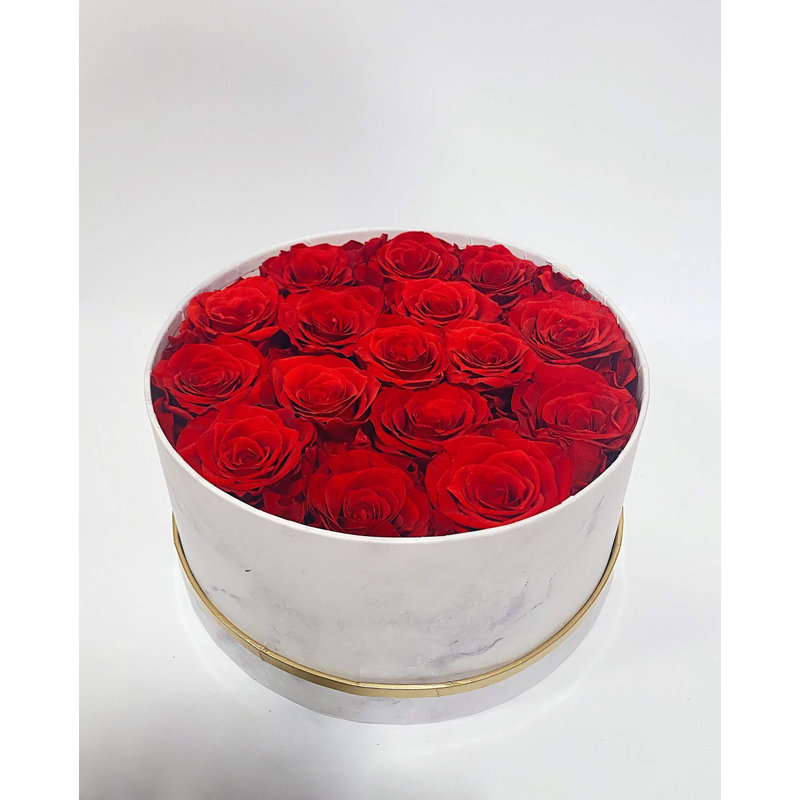 Preserved Natural Rose Rose Arrangement in Pot, Red