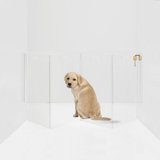 Hiddin Clear Tall Zig Zag Wall Mounted Pet Gate