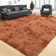 Non-Slip Soft & Fluffy Shaggy Area Rug
