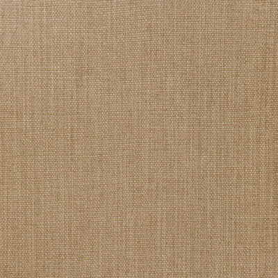 Prairie Texture