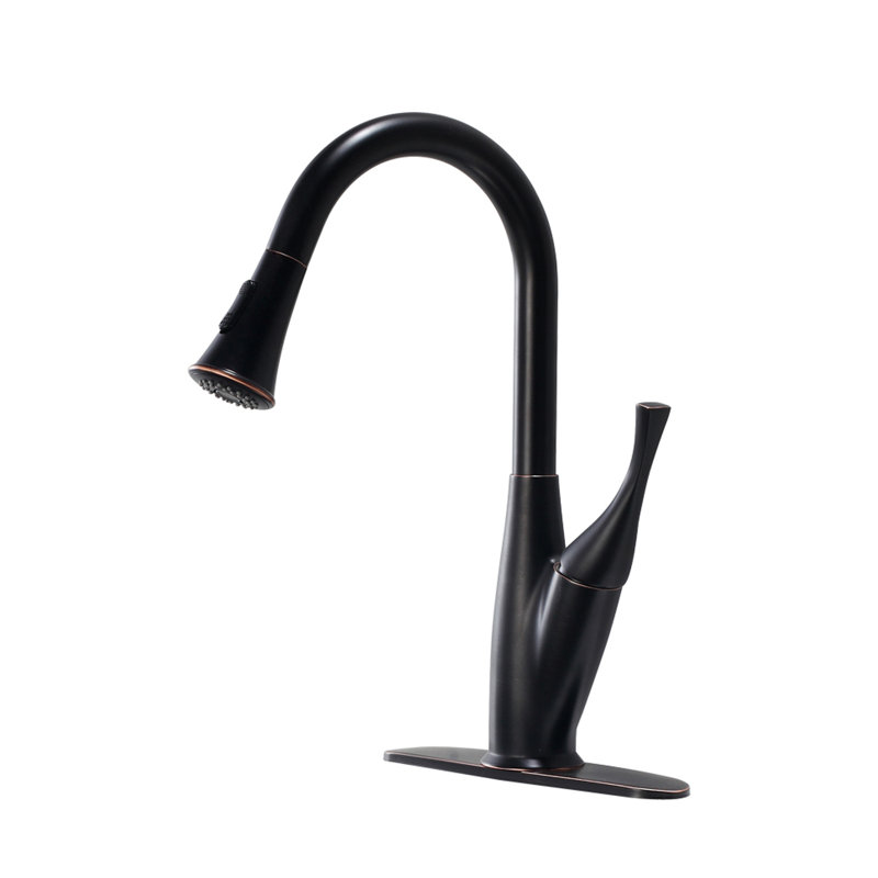 Topcraft Single-Handle Pull-Out Kitchen Faucet