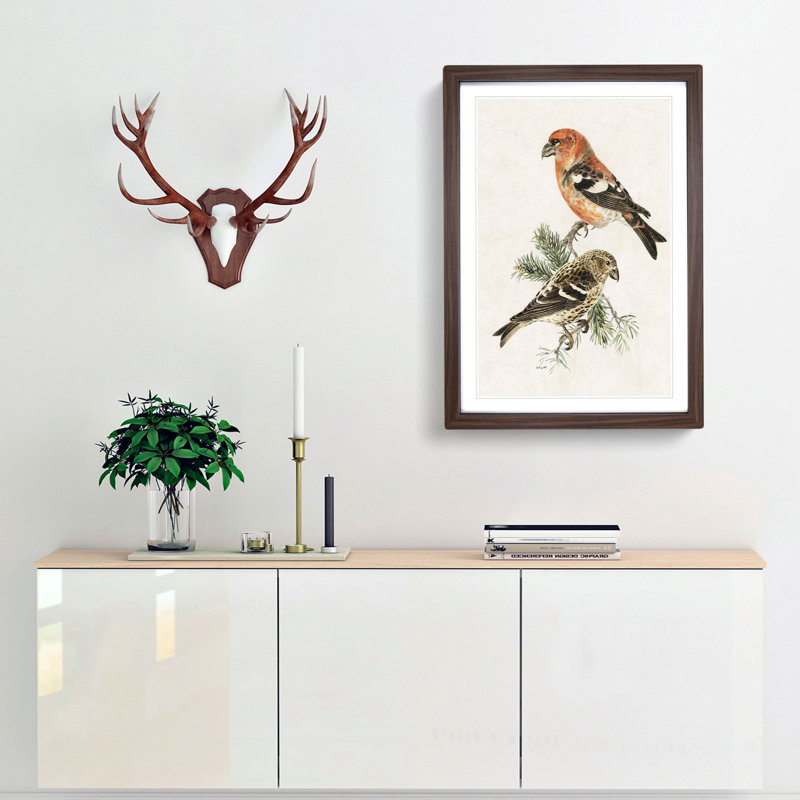 Crossbill Birds by Von Wright - Picture Frame Painting Print, 48cm H x 36cm W x 2cm D, Walnut Framed
