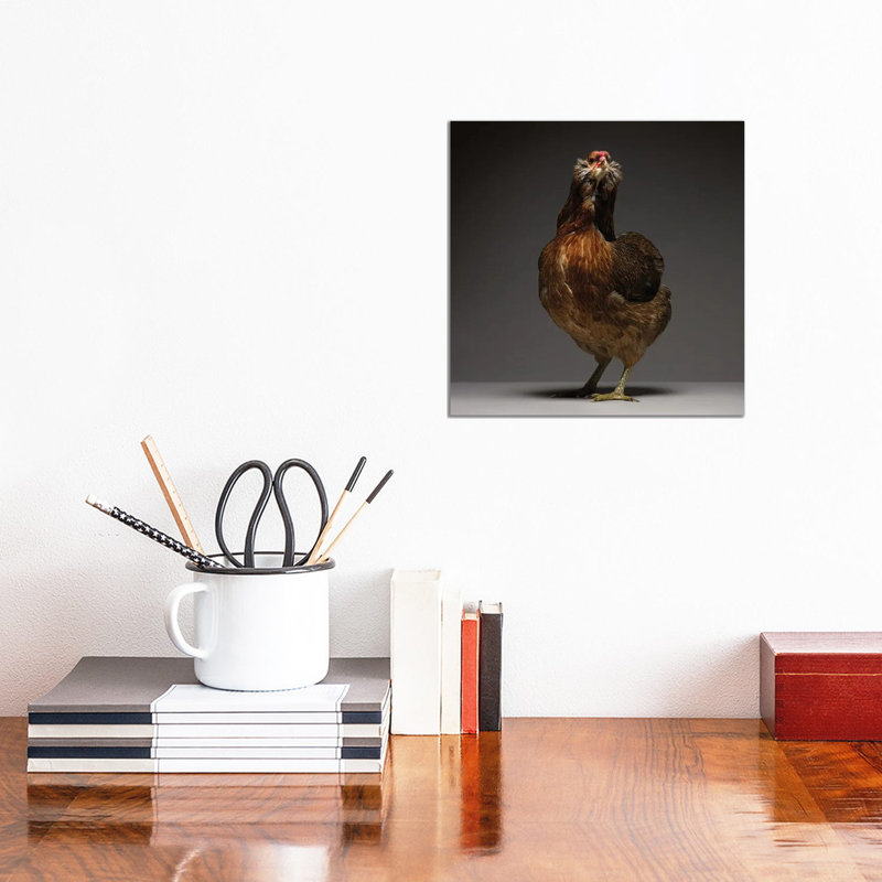 Araucana - Wrapped Canvas Print, 30.48 cm H x 30.48 cm W