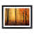Black Framed selected