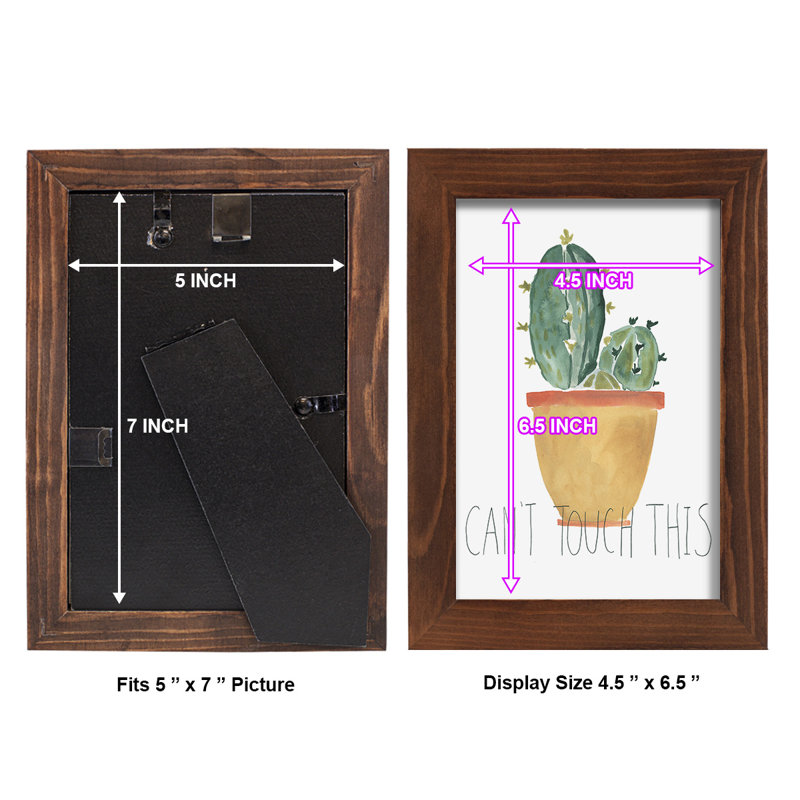 Delmi Punny Plant I, reproduction d'art encadrée, H 9 po x l 7 po x P 1 po, Châtaigne