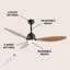 Ventilateur de plafond 52 po à 3 pales DEL avec télécommande et ensemble d'éclairage inclus Clarra-2046170305