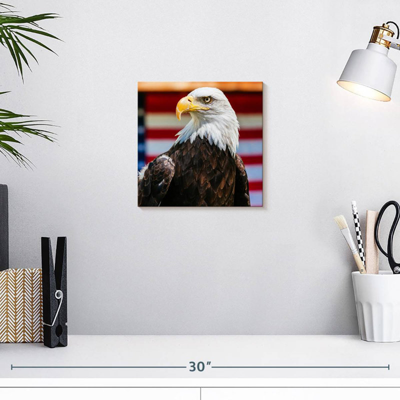 Brampt Mighty US Bald Eagle, 10" H x 10" W