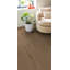 Shaw Robin 9-in W x 60-in L x 6.5-mm Luxury Vinyl Plank Flooring-94600525